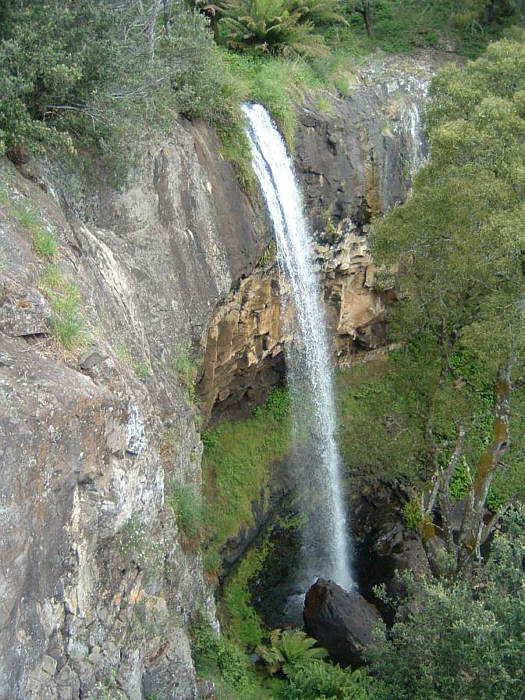 29 Tasmania.jpg